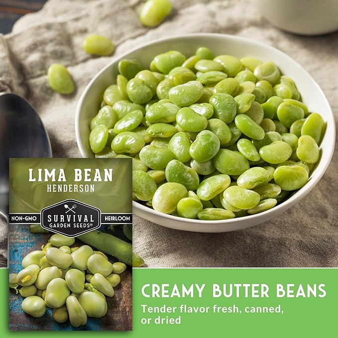Lima Bean Seeds for Planting – Henderson Butter Bean Seeds for Gardens & Classroom Science Projects, Easy to Grow Non-GMO Heirloom Variety - Survival Garden Seeds (5 Packs)