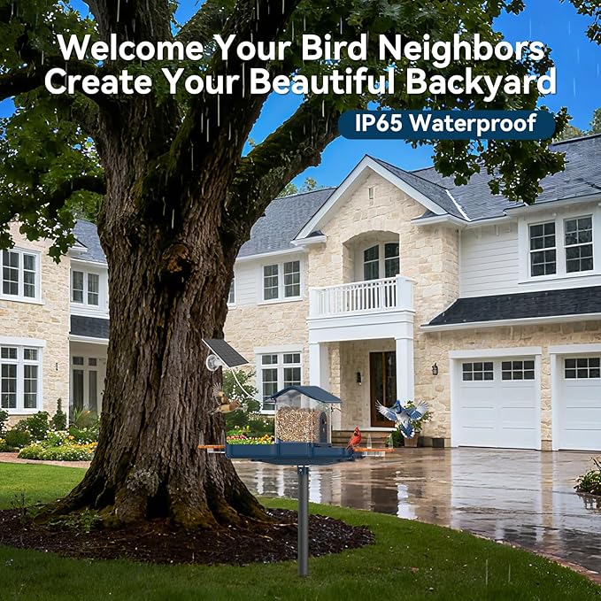 Dual-Lens Bird Feeder with Camera & Bird Bath Combo, Watch Birds Eat & Bathe with WiFi 2K HD Video, Auto Record, AI Recognition, APP Alerts, Solar Powered, for Backyard Garden Porch Fence Decor