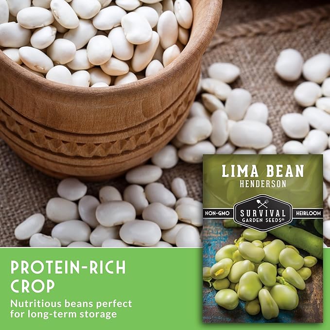 Lima Bean Seeds for Planting – Henderson Butter Bean Seeds for Gardens & Classroom Science Projects, Easy to Grow Non-GMO Heirloom Variety - Survival Garden Seeds (5 Packs)