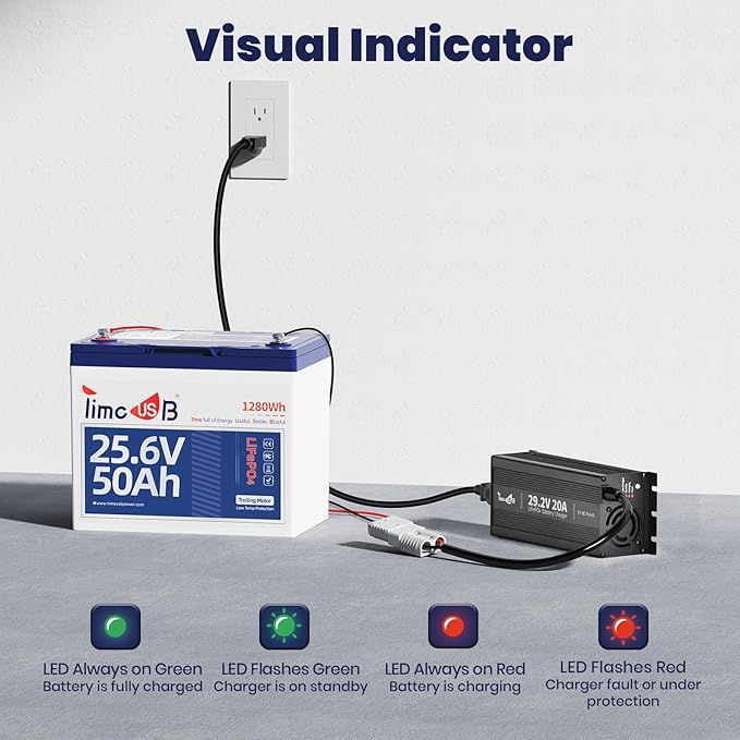 29.2V 20A LiFePO4 Battery Charger, 24V MINI Mountable Lithium Battery Charger with LED Indicators and Multi Safety Protections for Lithium Iron Deep Cycle Rechargeable Batteries of Boat, RV (Mini)