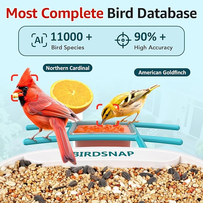 birdsnap® TUC Bird Feeder with Camera 2K HD, Solar Panel 32GB Card 4-in-1 Perch, 160°View Auto Detect & Notify AI Identify Video Bird Camera Wireless Outdoors Ideal Gift for Birds Lover