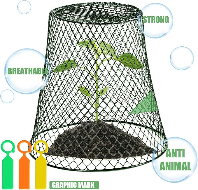 10 Pcs 8inch Chicken Wire Plant Covers Wire Garden Cloches Chicken Wire Cloche Plant Protector Metal Heavy Duty Garden Plant Cloche for Keeping Bunnies Chicken Squirrels Birds Other Out