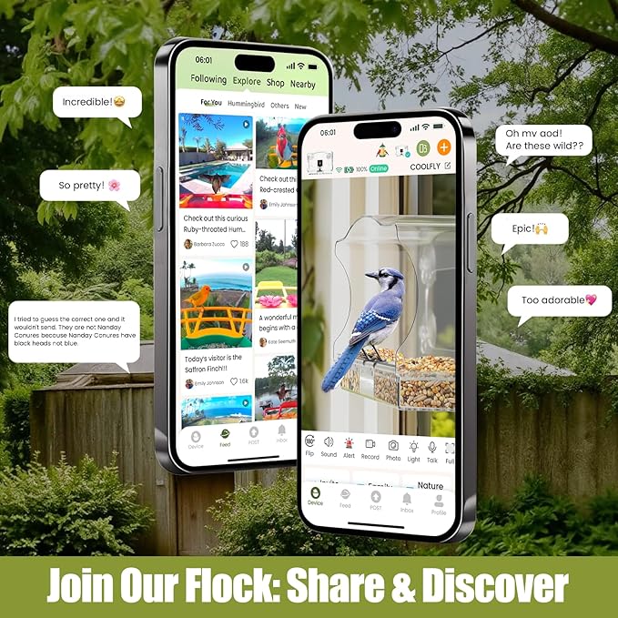 Freesason Waterproof Smart Bird Feeder Camera with AI Bird Recognition, 2K HD All-Weather Window Mount for Outdoor Viewing - The Ultimate Gift for Birds Watchers