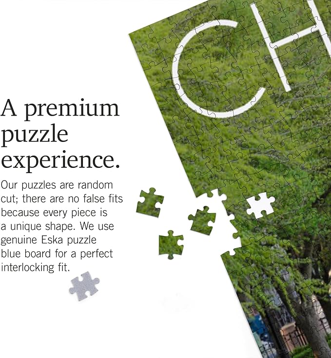 Charleston, South Carolina, Pineapple Fountain (1000 Piece Puzzle, Challenging Jigsaw Puzzle for Adults, Made in USA)