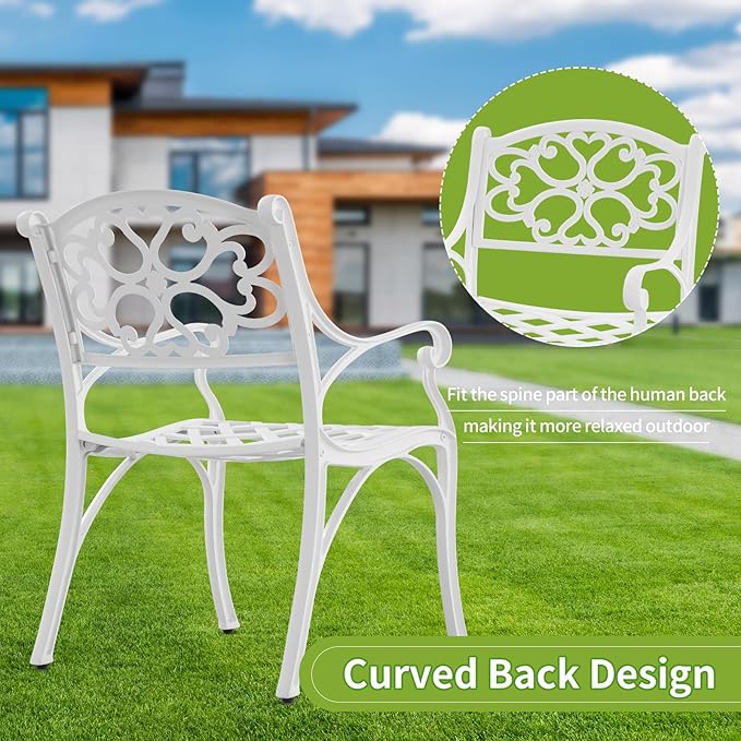 Patio Dining Chairs Set of 2, Cast Aluminum Patio Bistro Chairs, Outdoor Bistro Chairs with Armrest for Garden Backyard Deck