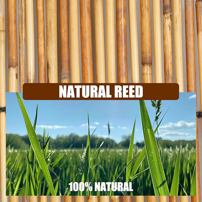 Natural Reed Fencing, Eco-Friendly Reed Fence, 3.3 feet High x 16.44 feet Long, Reed Screen for Backyard Patio Garden and More,Brown
