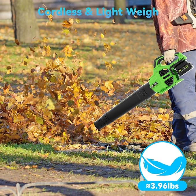 Leaf Blower Cordless with 2 x 4.0Ah Battery and Charger, 780CFM 260MPH Electric Blower with 2 Speeds, 20V Handheld Leaf Cleaner for Lawn Care, Blowing Leaves, Dust, Snow, Gravel for Patio, Yard, Green