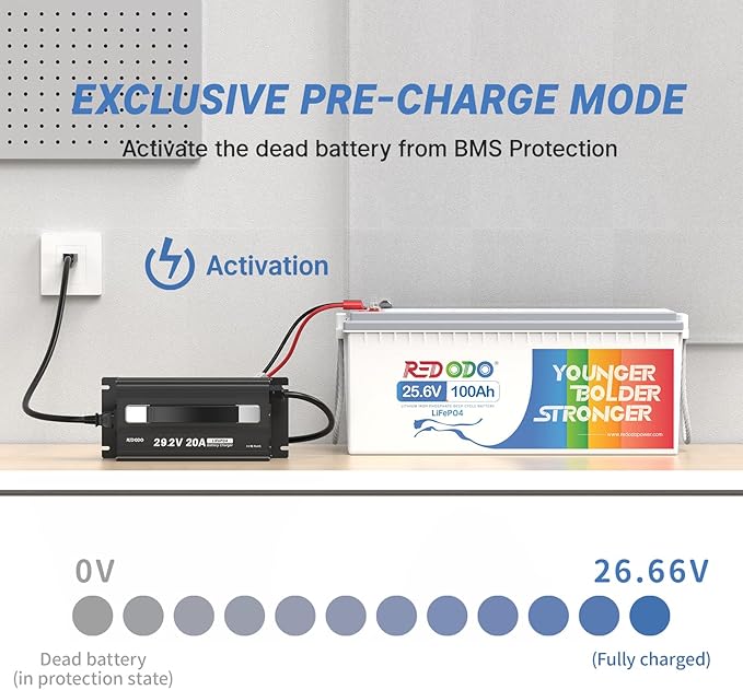 Redodo 29.2V 20A LiFePO4 Lithium Battery Charger, Fast Charging AC-DC Battery Charger, Fit for 24V Lithium Iron Phosphate Battery, LED Indicators and 4 Protection Functions