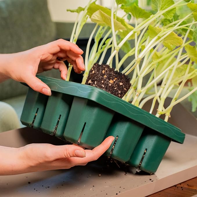 Vego garden Giga Seedling Trays - 8 Pack, 9-Cell UV-Resistant Reusable Starter Trays for Greenhouse/Garden (No Lids)
