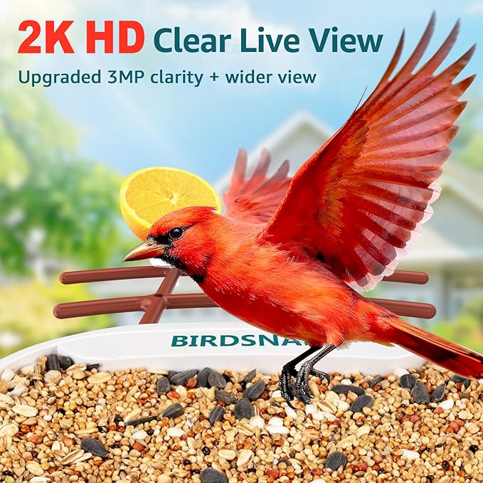 birdsnap® TUC Bird Feeder with Camera 2K HD, Solar Panel 32GB Card 4-in-1 Perch, 160°View Auto Detect & Notify AI Identify Video Bird Camera Wireless Outdoors Ideal Gift for Birds Lover