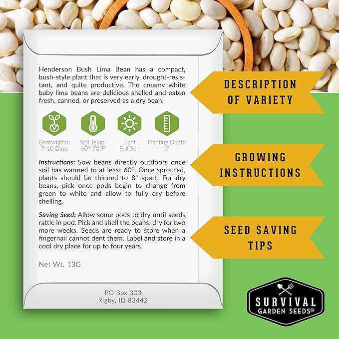 Lima Bean Seeds for Planting – Henderson Butter Bean Seeds for Gardens & Classroom Science Projects, Easy to Grow Non-GMO Heirloom Variety - Survival Garden Seeds (3 Packs)