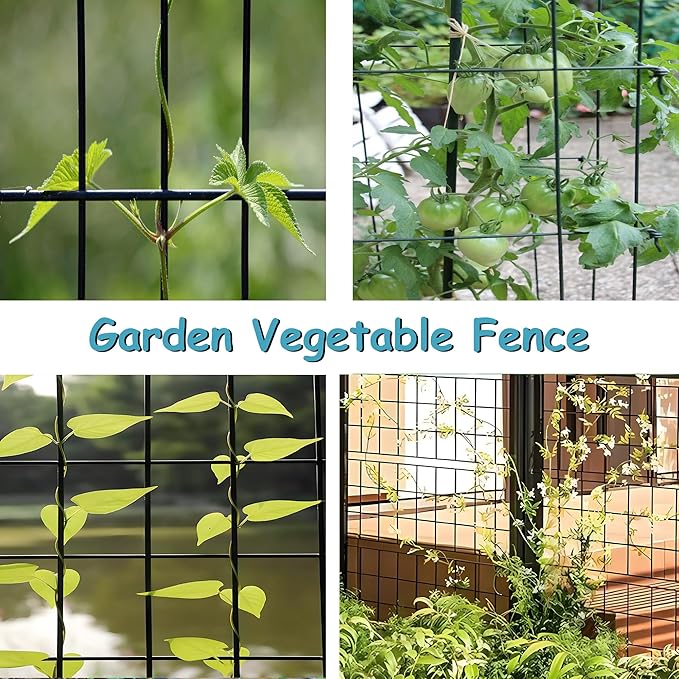 Black Metal Garden Fence, 60inch(H) x 100ft(L), 2 inch x 4 inch,12.5GA 2/3/4/5/6 Ft Tall Chicken Wire PVC Coated Welded Wire Mesh Roll for Dogs Border Yard Vegetable Plant Protection Poultry Netting