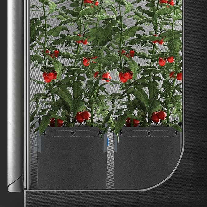 AC Infinity Heavy Duty Fabric Pots, 10 Gallon Aeration Reusable Grow Bags 5-Pack with 500G Thick Nonwoven Fabric and Multi-Purpose Rings, for Low Stress Plant Training Fruits, Vegetables, and Flowers