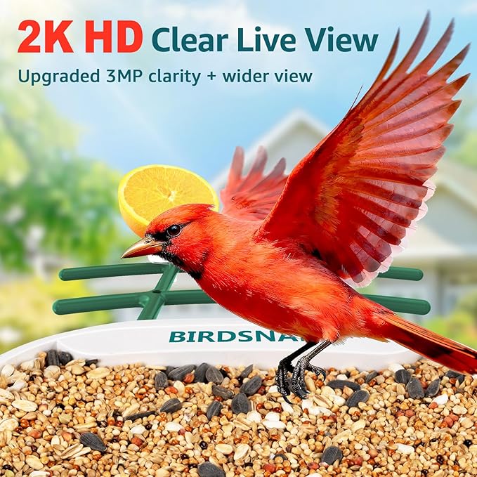birdsnap® TUC Bird Feeder with Camera 2K HD, Solar Panel 32GB Card 4-in-1 Perch, 160°View Auto Detect & Notify AI Identify Video Bird Camera Wireless Outdoors Ideal Gift for Birds Lover