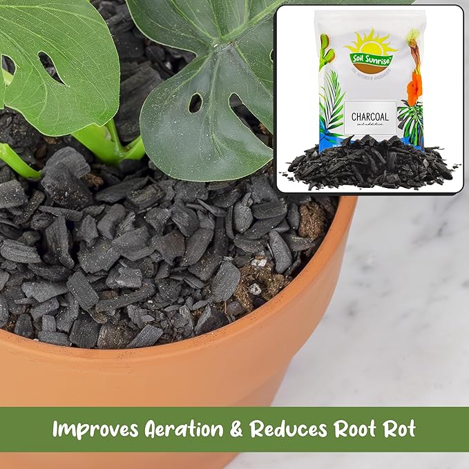 Soil Sunrise Horticultural Charcoal for Indoor Plants (1 Quart) Hardwood Soil Additive for Orchids, Terrariums, and Gardening
