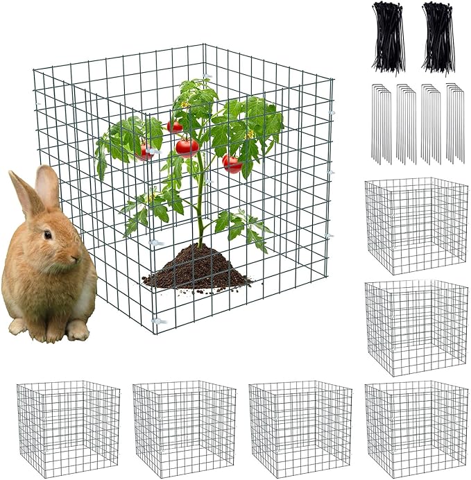 Small Wire Plant Protector, 6 Pack Black Chicken Wire Cloche Plant Protectors for Garden, Iron Wire Mesh Plant Cages for Plants and Vegetables to Protect from Rabbits,Dogs,Chickens and Other Animals