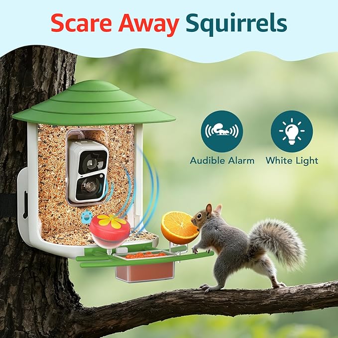 birdsnap® TUC Bird Feeder with Camera 2K HD, Solar Panel 32GB Card 4-in-1 Perch, 160°View Auto Detect & Notify AI Identify Video Bird Camera Wireless Outdoors Ideal Gift for Birds Lover