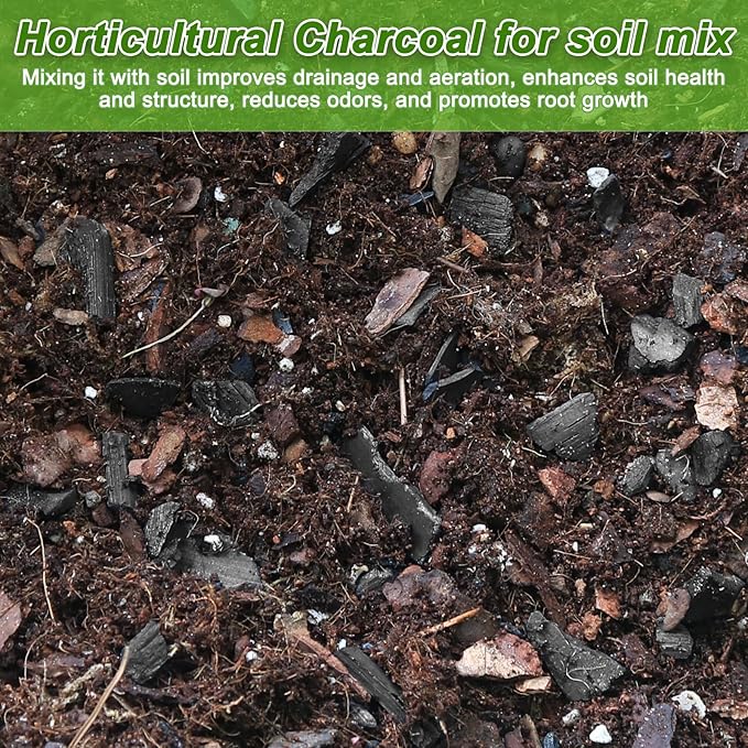 3 Quarts Horticultural Charcoal for Indoor Plants-Hardwood Potting Soil Amendment for Orchids, Succulent, Cactus, Terrariums, and Gardening