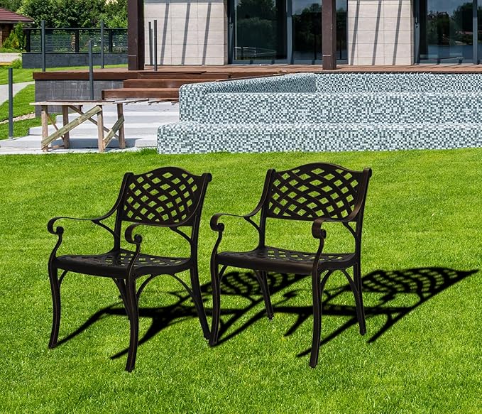 Cast Aluminum Patio Chairs Set of 2, Outdoor Dining Chairs, All-Weather Metal Patio Chairs, Patio Bistro Chairs with Armrest for Garden Backyard Porch Balcony Lawn Pool
