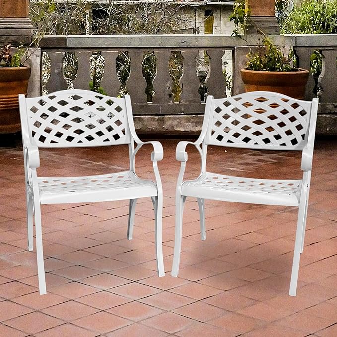 Cast Aluminum Patio Chairs Set of 2, Outdoor Dining Chairs, All-Weather Metal Patio Chairs, Patio Bistro Chairs with Armrest for Garden Backyard Porch Balcony Lawn Pool
