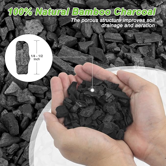 29 Quarts Horticultural Charcoal for Indoor Plants-Hardwood Potting Soil Amendment for Orchids, Succulent, Cactus, Terrariums, and Gardening