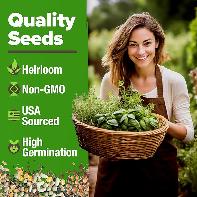 HOME GROWN 6 Herb Seeds for Planting 3,200+ Non-GMO Heirloom Seeds | Extra Large Variety Pack Herb Kit – Indoor Outdoor & Hydroponic | Culinary Seed Set | Grow Your Own Herbs | Gift for Beginners