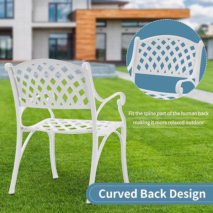 Patio Dining Chairs Set of 2, Cast Aluminum Patio Bistro Chairs, Outdoor Bistro Chairs with Armrest for Garden Backyard Deck