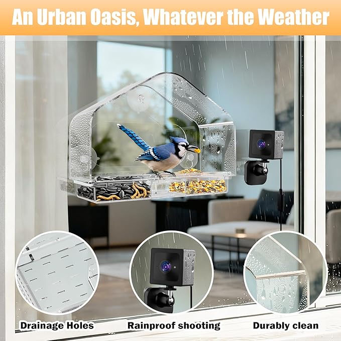 Waterproof Smart Window Bird Feeder Camera with AI, All-Weather 2K HD Live View & Secure Suction Mount - The Ultimate Outdoor Gift for Bird Watchers
