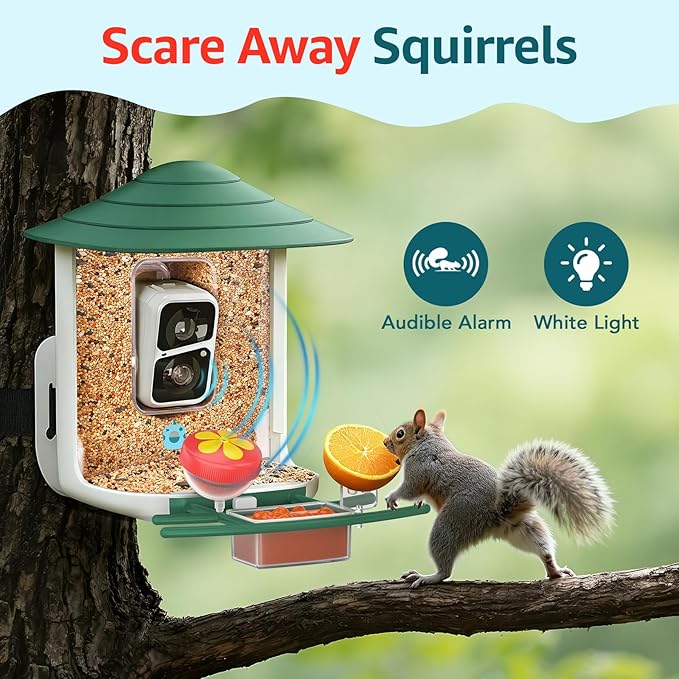 birdsnap® TUC Bird Feeder with Camera 2K HD, Solar Panel 32GB Card 4-in-1 Perch, 160°View Auto Detect & Notify AI Identify Video Bird Camera Wireless Outdoors Ideal Gift for Birds Lover