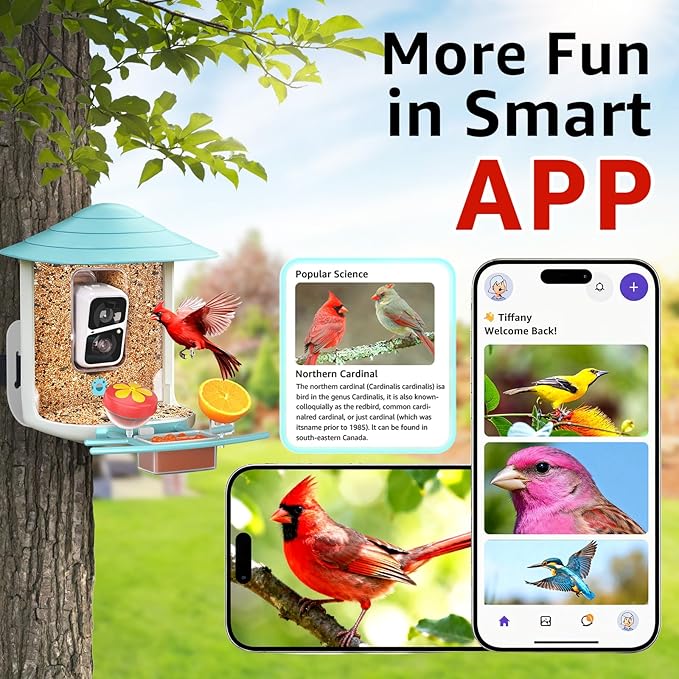 birdsnap® TUC Bird Feeder with Camera 2K HD, Solar Panel 32GB Card 4-in-1 Perch, 160°View Auto Detect & Notify AI Identify Video Bird Camera Wireless Outdoors Ideal Gift for Birds Lover