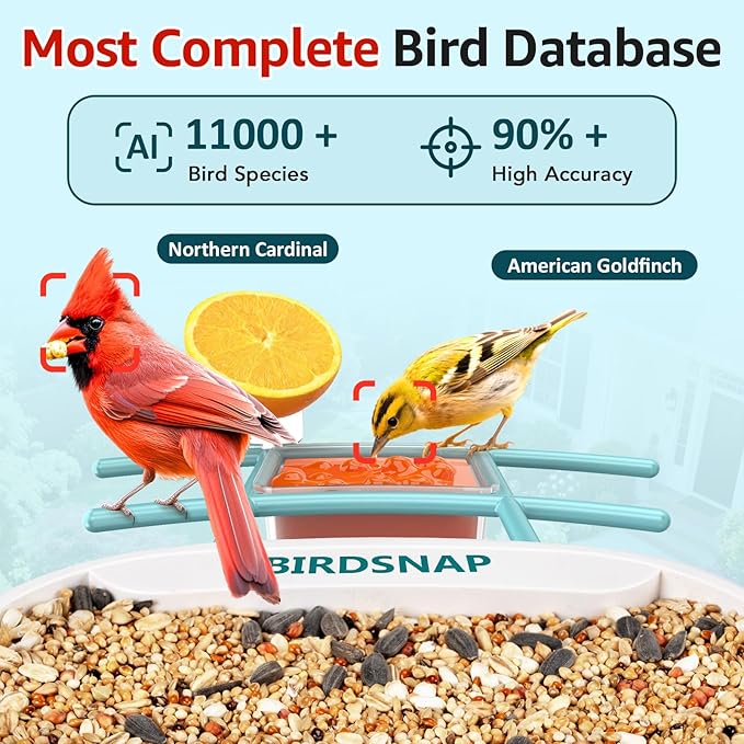 birdsnap® TUC Bird Feeder with Camera 2K HD, Solar Panel 32GB Card 4-in-1 Perch, 160°View Auto Detect & Notify AI Identify Video Bird Camera Wireless Outdoors Ideal Gift for Birds Lover