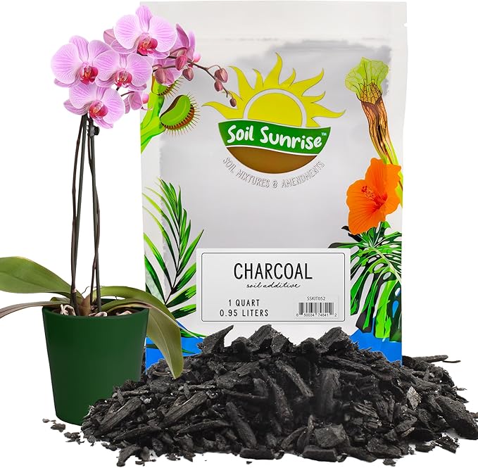 Soil Sunrise Horticultural Charcoal for Indoor Plants (1 Quart) Hardwood Soil Additive for Orchids, Terrariums, and Gardening