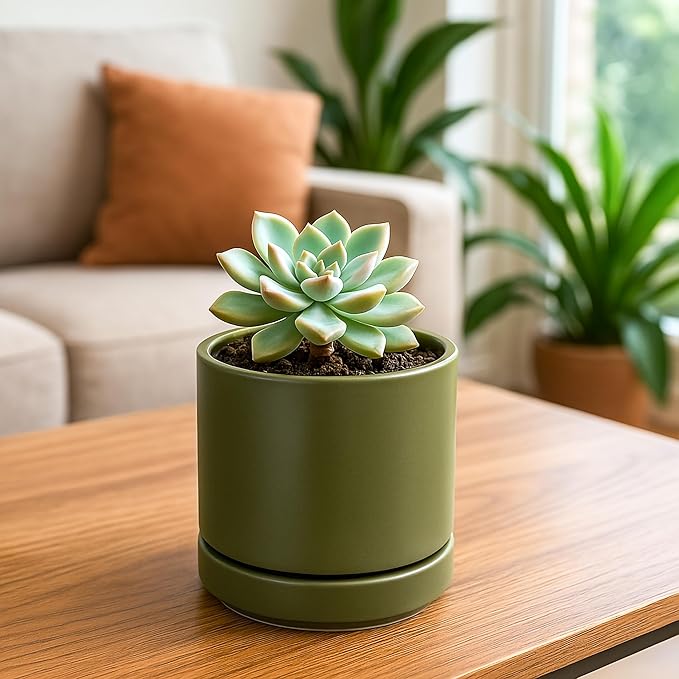 D'vine Dev 4.7 Inch Ceramic Planter Pot with Drainage Hole and Saucer, Indoor Cylinder Round Planter Pot, Olive, 94-O-B-J