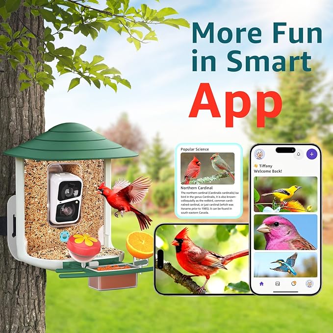 birdsnap® TUC Bird Feeder with Camera 2K HD, Solar Panel 32GB Card 4-in-1 Perch, 160°View Auto Detect & Notify AI Identify Video Bird Camera Wireless Outdoors Ideal Gift for Birds Lover