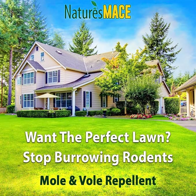 Nature's MACE Mole & Vole MACE – Yard & Garden Granules, Castor Oil Formula, Outdoor Use, Plant & Pet Safe, 160 Fl Oz (Pack of 1)