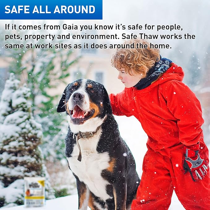 Safe Thaw Ice Melt - 100% Salt-Free, Pet & Concrete Safe, Industrial Strength, Chloride-Free, Fast-Acting Snow & Ice Melter with Traction Agent - Use on Asphalt, Roofs & All Surfaces, 10 lbs Jug