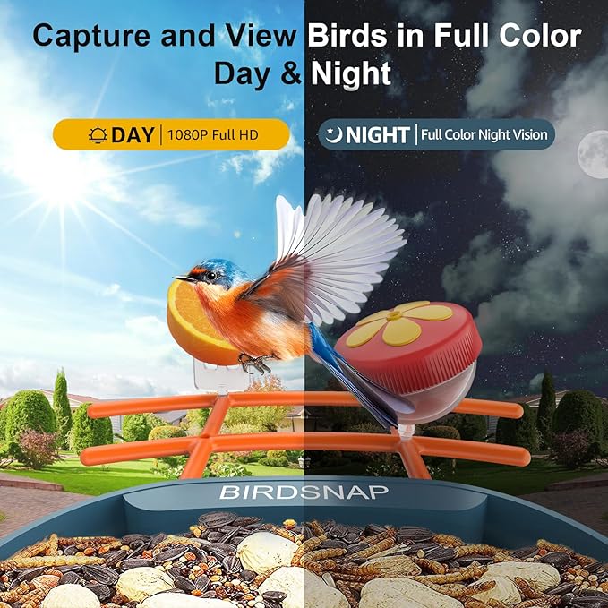 birdsnap® PAV-Bird Feeder with Camera 2K HD, 64GB Card, AI Identify Bird Species Smart Bird House with Camera Solar Powered, Record Video Live View, Auto Capture, Ideal Gift for Birds Lover