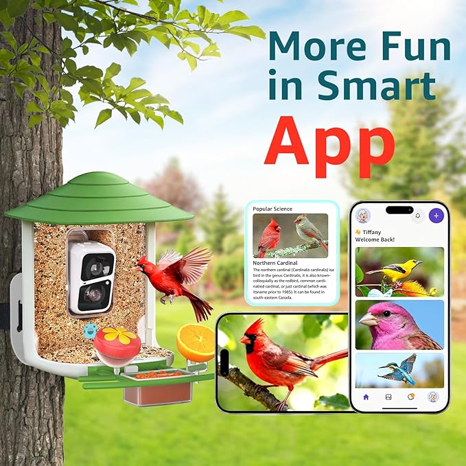 birdsnap® TUC Bird Feeder with Camera 2K HD, Solar Panel 32GB Card 4-in-1 Perch, 160°View Auto Detect & Notify AI Identify Video Bird Camera Wireless Outdoors Ideal Gift for Birds Lover