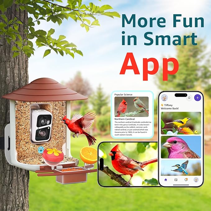 birdsnap® TUC Bird Feeder with Camera 2K HD, Solar Panel 32GB Card 4-in-1 Perch, 160°View Auto Detect & Notify AI Identify Video Bird Camera Wireless Outdoors Ideal Gift for Birds Lover