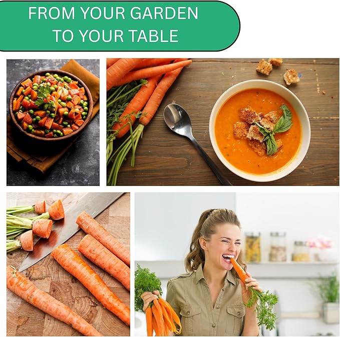 Woods Creek Seeds: Danvers 126 Carrot Seeds for Planting - Over 2,800 Heirloom Carrot Seed Pack - Non-GMO Carrots Seeds for Planting Outdoors or Indoors - Beginner Friendly Vegetable Gardening