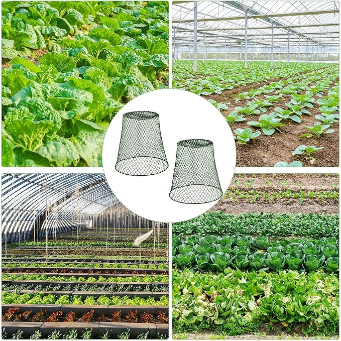 10 Pcs 8inch Chicken Wire Plant Covers Wire Garden Cloches Chicken Wire Cloche Plant Protector Metal Heavy Duty Garden Plant Cloche for Keeping Bunnies Chicken Squirrels Birds Other Out