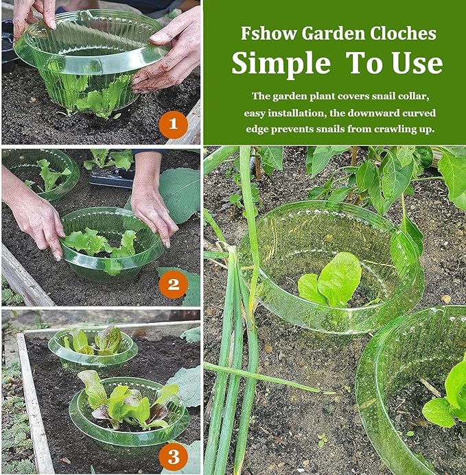 Fshow Slug & Snail Collars,30pcs Snail Garden Cloches,Snail Collar Protects Plants to Get Better.