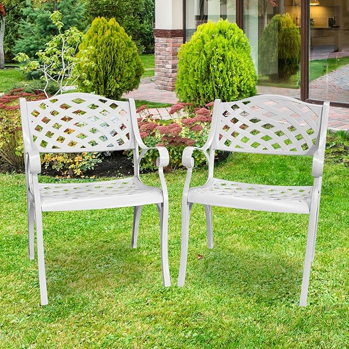 Cast Aluminum Patio Chairs Set of 2, Outdoor Dining Chairs, All-Weather Metal Patio Chairs, Patio Bistro Chairs with Armrest for Garden Backyard Porch Balcony Lawn Pool