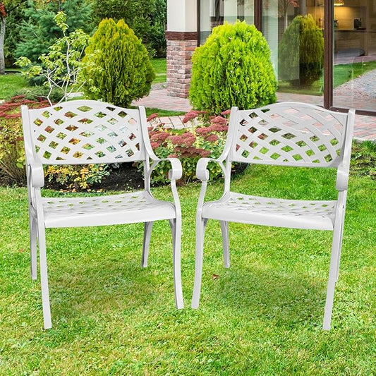 Cast Aluminum Patio Chairs Set of 2, Outdoor Dining Chairs, All-Weather Metal Patio Chairs, Patio Bistro Chairs with Armrest for Garden Backyard Porch Balcony Lawn Pool