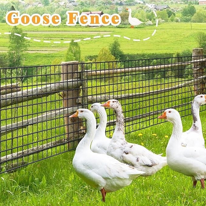 Black Metal Garden Fence, 72inch(H) x 100ft(L), 2 inch x 3 inch,14GA 2/3/4/5/6 Ft Tall Chicken Wire PVC Coated Welded Wire Mesh Roll for Dogs Border Yard Vegetable Plant Protection Poultry Netting