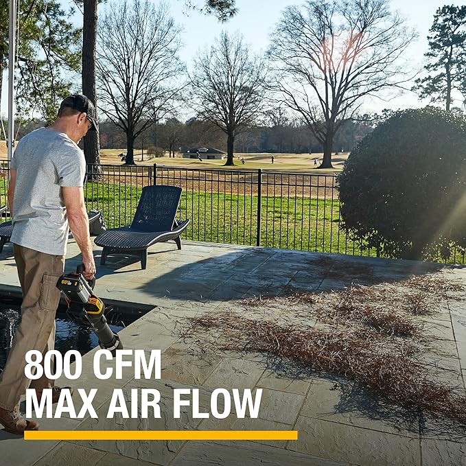 Cat DG651 60V 800 CFM 170 MPH High-Powered Leaf Blower Cordless, Adjustable Speed Blowers for Lawn Care, Lightweight Cordless Leaf Blower with Variable Air Control – Battery & Charger Included