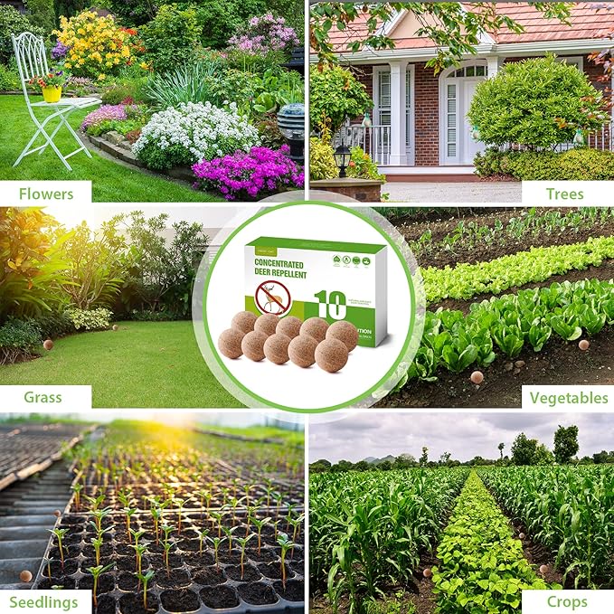MAGIC CAT® Deer Repellent, Rabbit Repellent Outdoor Natural Peppermint Oil Deer Repellant for Plants Pet Family Safe, Deer Deterrent Balls Keep Rabbit Out of Lawn Garden Yard Shrub and Trees-10P