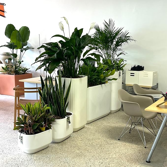 Crescent Garden Modular Self-Watering Trough Plant Box with TruDrop Water Level Indicator - Large Rectangular Deck Planter for Indoor & Outdoor Plants, Modern Garden Bed - 40"x20"x20"H (Alpine White)