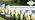 246FT Drip Irrigation System, Automatic Drip Irrigation Kit with 1/2" Main Tube & 1/4" Branch Tubing, Adjustable Drip Emitters, Garden Watering System for Flower Bed, Raised Beds, Lawn, Greenhouses