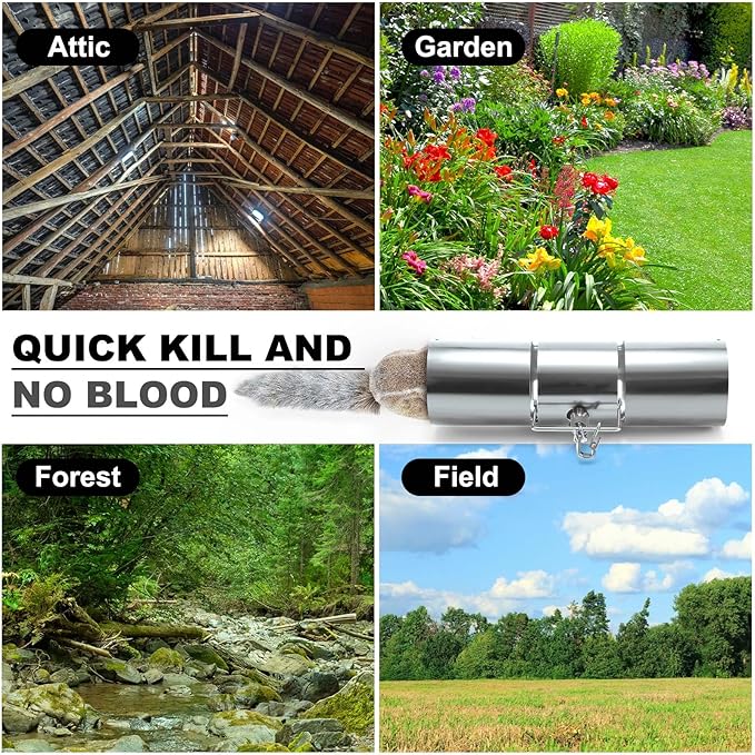 Qualirey Stainless Steel Tube Squirrel Trap Rust Resistant Trap 4.5'' in Diameter with a Setting Tong for Backyards Patios Gardens, Safe and Effective Pest Control Commercial and Residential Use 15''